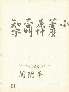 知否原著小说名字叫什么