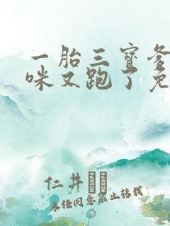 一胎三宝爹地妈咪又跑了免费阅读全文