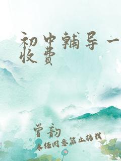 初中辅导一对一收费