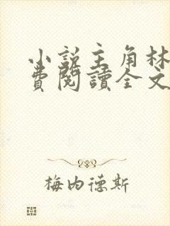 小说主角林风免费阅读全文