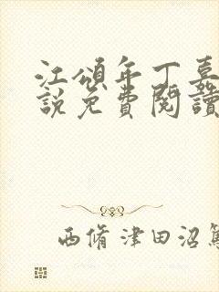 江颂年丁嘉的小说免费阅读全文