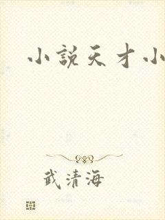 小说天才小毒妃