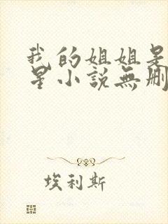 我的姐姐是大明星小说无删减版