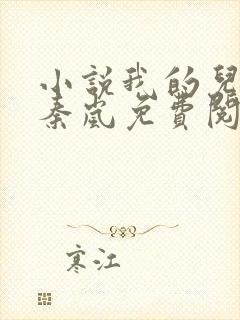 小说我的儿媳是秦岚免费阅读