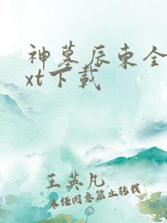 神墓辰东全本txt下载