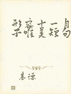 形容十一月的句子唯美短句