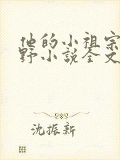 他的小祖宗甜又野小说全文免费阅读