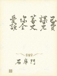 爱你蓄谋已久小说全文免费阅读