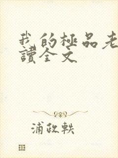 我的极品老婆阅读全文