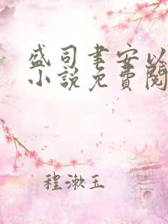 盛司聿安以夏的小说免费阅读