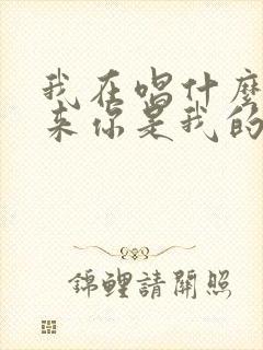 我在唱什么歌原来你是我的主打歌