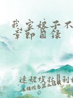 我家娘子不对劲章节目录