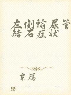 左侧输尿管下段结石症状