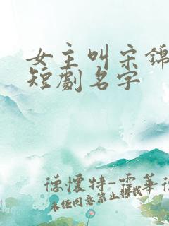 女主叫宋锦书的短剧名字