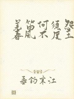 羌笛何须怨杨柳春风不度玉门关情感