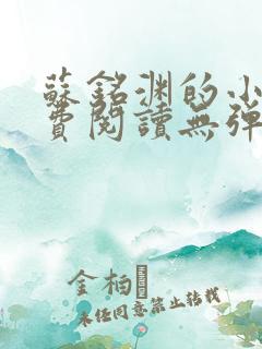 苏铭渊的小说免费阅读无弹窗全文