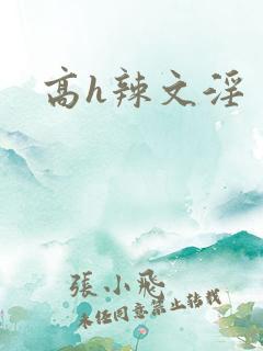 高h辣文淫