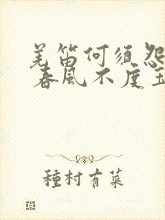 羌笛何须怨杨柳 春风不度玉门关中的春风是