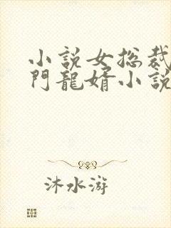 小说女总裁的上门龙婿小说