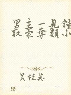 男主一见钟情强取豪夺类小说