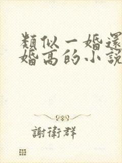 类似一婚还比一婚高的小说高干文