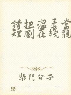 错把温柔当深情短剧在线观看全集