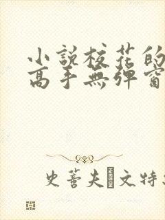 小说校花的贴身高手无弹窗全文免费阅读