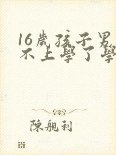 16岁孩子男孩不上学了学点什么技术好