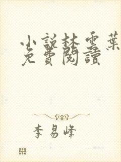 小说林云叶婉清免费阅读