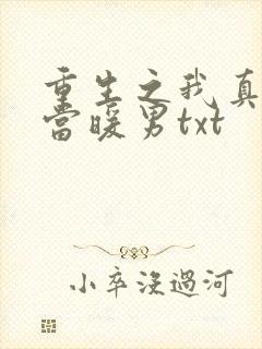 重生之我真没想当暖男txt