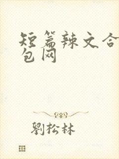 短篇辣文合集书包网