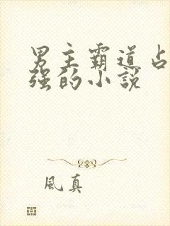 男主霸道占有欲强的小说