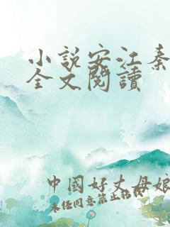 小说安江秦盼儿全文阅读