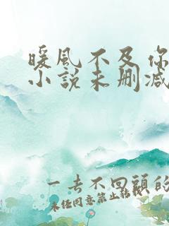 暖风不及你情深小说未删减在线看
