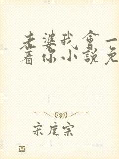 老婆我会一直缠着你小说免费阅读全文