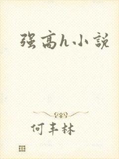 强高h小说