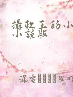 摄政王的小闲妻小说版