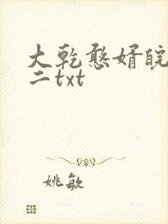 大乾憨婿皖南牛二txt