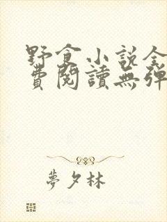 野食小说全文免费阅读无弹窗