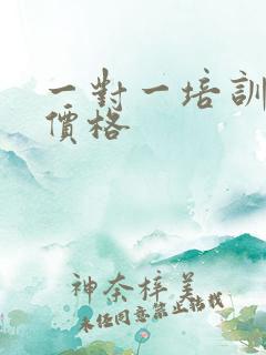 一对一培训雅思价格