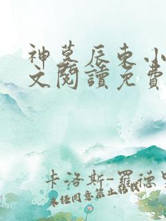 神墓辰东小说全文阅读免费