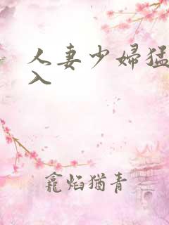 人妻少妇猛烈进入