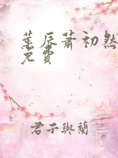 叶辰萧初然听书免费