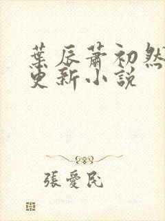 叶辰萧初然最快更新小说