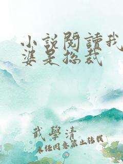 小说阅读我的老婆是总裁