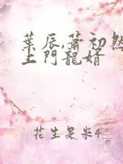 叶辰,萧初然 上门龙婿