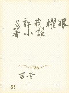 《许我耀眼》原著小说