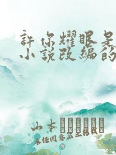 许你耀眼是哪部小说改编的