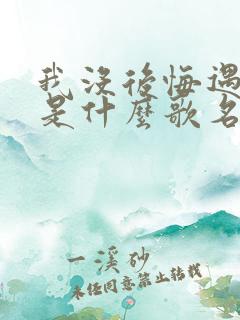 我没后悔遇见你是什么歌名