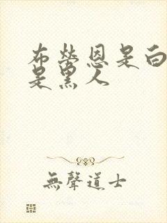 布劳恩是白人还是黑人